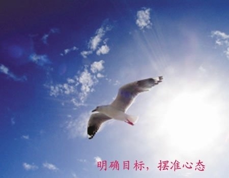 大學(xué)生另類創(chuàng)業(yè)盤點(diǎn):刷馬桶刷出個(gè)千萬(wàn)富翁