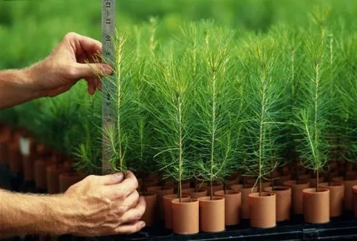 12月新規(guī)來了！都是好消息 第一條就讓你超省錢